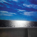 Feuerstack,michael - Forgettable Truth - Vinyl Record