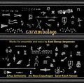 Borup-jorgensen / Hansen - Carambolage-works For Ens & Voice - Music CD