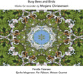 Christensen / Petersen / Palsson / Mogensen - Busy Bees & Birds - Music CD