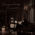 Bishara,joe - Gorgeous Vortex - Vinyl Record
