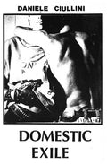 Ciullini,daniele - Domestic Exile Collected Works 82-86 - Vinyl Record
