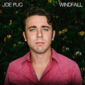 Pug,joe - Windfall - Music CD