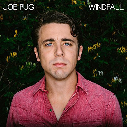 Pug,joe - Windfall - Music CD