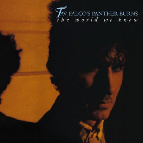 Falco,tav / Panther Burns - World We Knew - Music CD