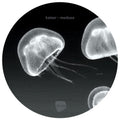 Kaiser - Medusa - Vinyl Record