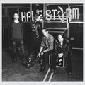 Halestorm - Into The Wild Life - Vinyl Record