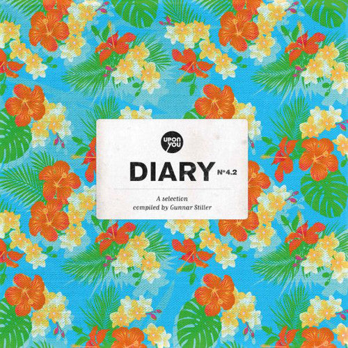 Selection Of Diary 4.2. / Various - Selection Of Diary 4.2. / Various - Vinyl Record