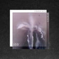 Vvv - Separate Planes - Vinyl Record