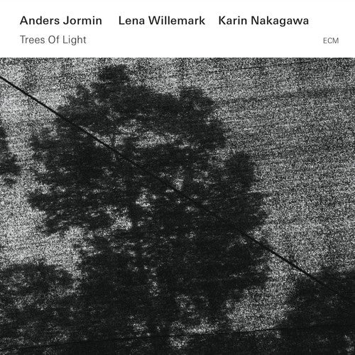 Jormin,anders - Trees Of Light - Music CD