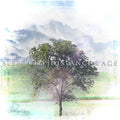 Sleep City - Distance & Age - Music CD