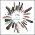 Sadness,carlos - La Idea Salvaje - Music CD