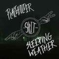Placeholder - Sleeping Weather - Vinyl Record