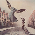 Shana Falana - Set Your Lighting Fire Free - Vinyl Record