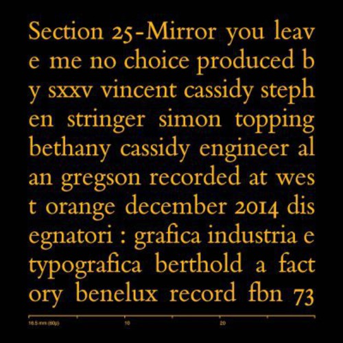 Section 25 - Mirror - Vinyl Record