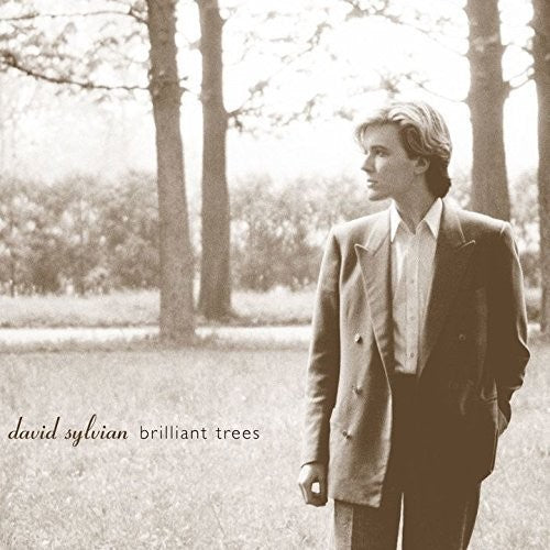 Sylvian,david - Brilliant Trees - Music CD