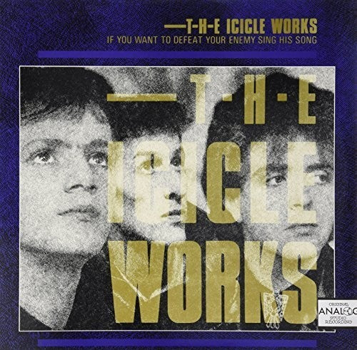 Icicle Works - If You Want To Defeat Your Enemy - Vinyl Record