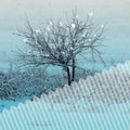 Hatakeyama,chihei - Winter Storm - Music CD