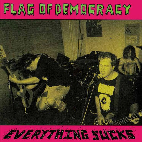 Flag Of Democracy - Everything Sucks - Vinyl Record