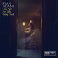 Adams,ryan - I Do Not Feel Like Being Good / How Much Light - Vinyl Record