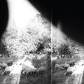 Godspeed You Black Emperor - Asunder Sweet & Other Distress - Vinyl Record