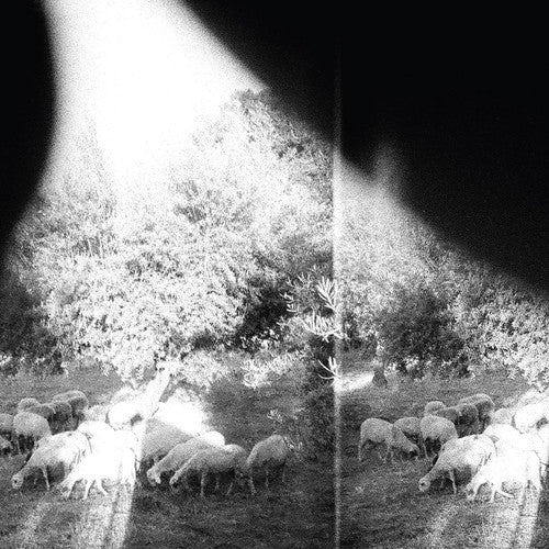 Godspeed You Black Emperor - Asunder Sweet & Other Distress - Vinyl Record