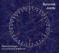 Coleman,steve & Council Of Balance - Synovial Joints - Music CD
