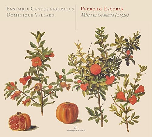 Escobar / Ensemble Cantus Figuratus / Vellard - Missa In Granada C. 1520 - Music CD
