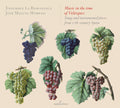 Sanz / Ensemble Romanesca / Moreno - Music In The Time Of Velazquez - Music CD