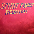 Spirit Family Reunion - Hands Together - Vinyl Record