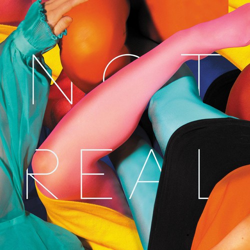 Not Real Vinyl Record