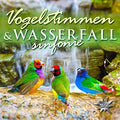 Vogelstimmen & Wasserfallsinfo / Various - Vogelstimmen & Wasserfallsinfo / Various - Music CD