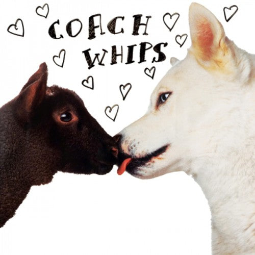 Coachwhips - Bangers Vs. Fuckers - Music CD