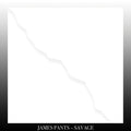 Pants,james - Savage - Vinyl Record