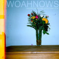 Woahnows - Understanding & Everything Else - Music CD