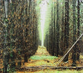 Apart From This - In Gloom - Music CD