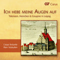 Telemann / L'arpa Festante / Voskuilen / Winter - Telemann Heinichen & Graupner In Leipzig - Music CD