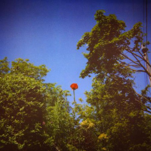 Pioulard,benoit - Sonnet - Music CD