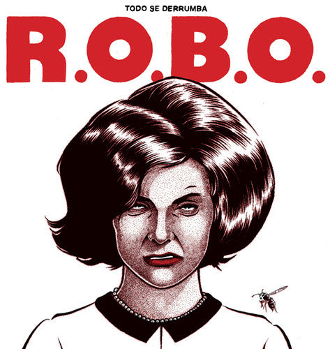 R.o.b.o. - Todo Se Derrumba - Vinyl Record