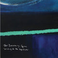 Dreaming Spires - Searching For The Supertruth - Vinyl Record