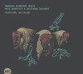 Schaerer,andreas / Arte Quartet - Perpetual Delirium - Music CD