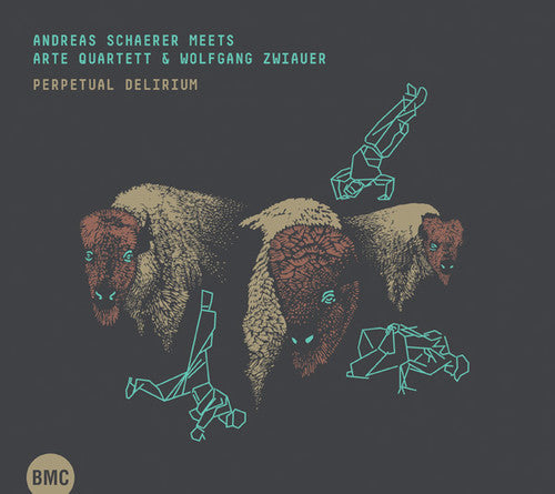 Schaerer,andreas / Arte Quartet - Perpetual Delirium - Music CD
