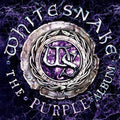 Whitesnake - Purple Album - Music CD