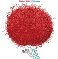 Mohr,topher - Phlowers - Music CD