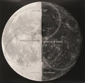 Stockhausen,markus / Martux M - Atlas - Vinyl Record