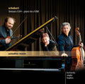 Schubert / Hopkins / Kucharsky / Wopke - Fantasie D 934 - Piano Trio D 898 - Music CD