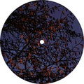 Mikkel Metal - Quest #14 - Vinyl Record