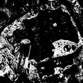 Biome - Griddled - Vinyl Record