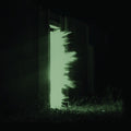 Fink - Horizontalism - Vinyl Record