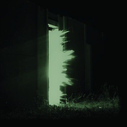 Fink - Horizontalism - Vinyl Record