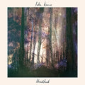 Lake Komo - Thinktank - Vinyl Record